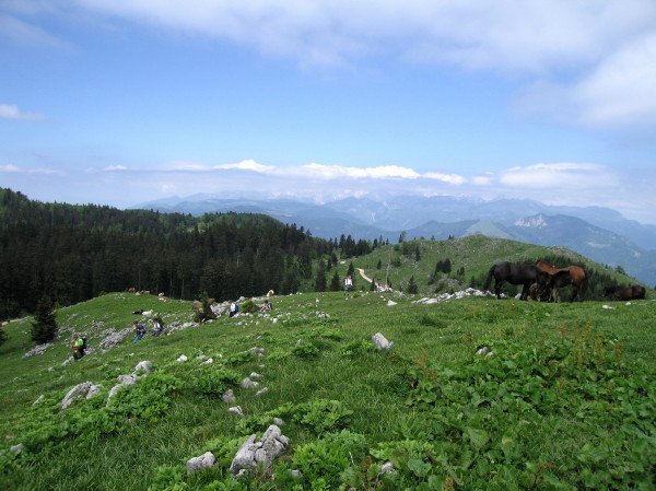 Menina planina 2007